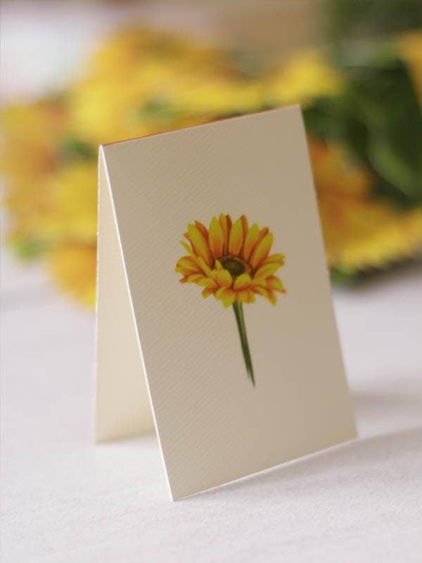 Sunflowers (8 Pop-up Greeting Cards)