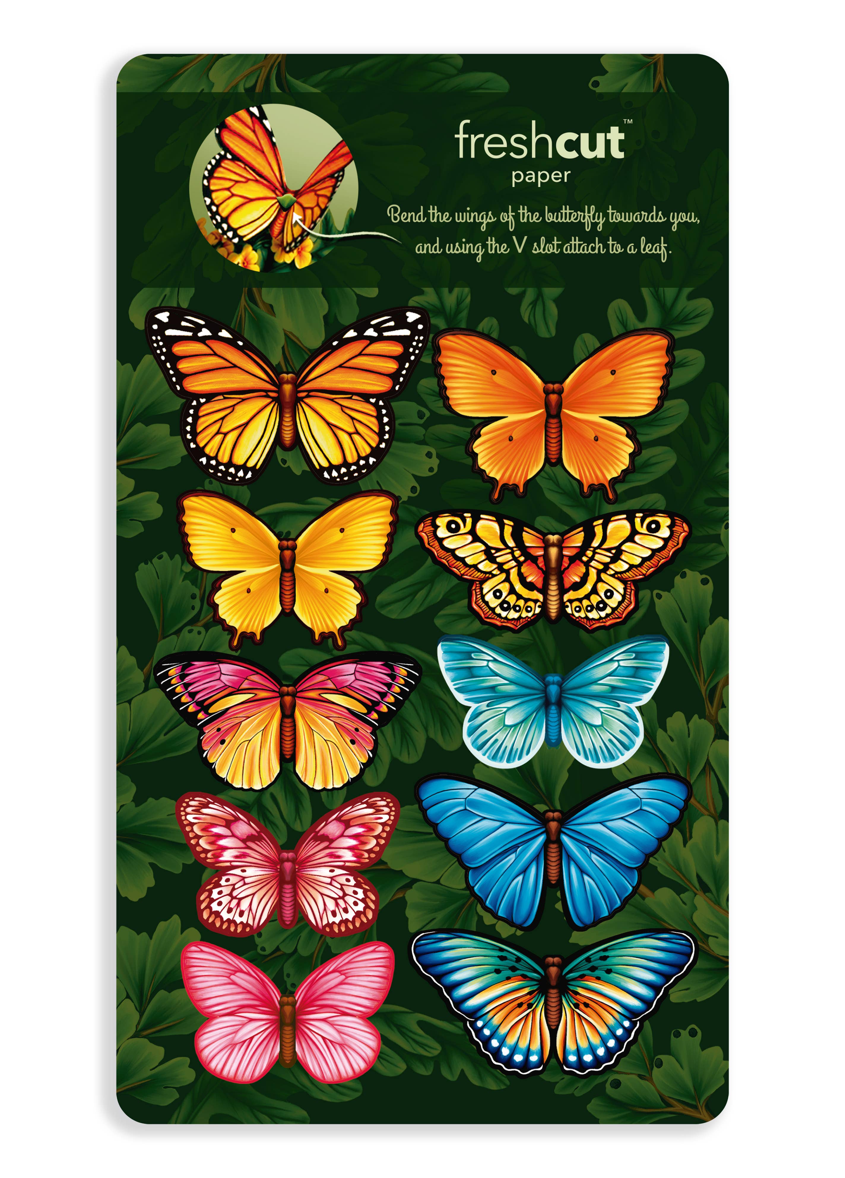 Butterflies & Buttercups (8 Pop-up Greeting Cards)