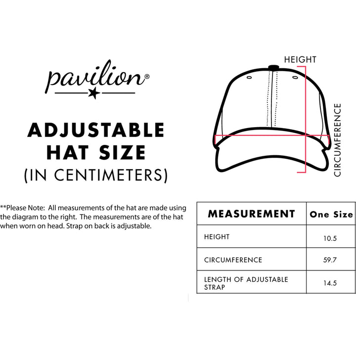 Professional Grandpa - Gray Adjustable Hat