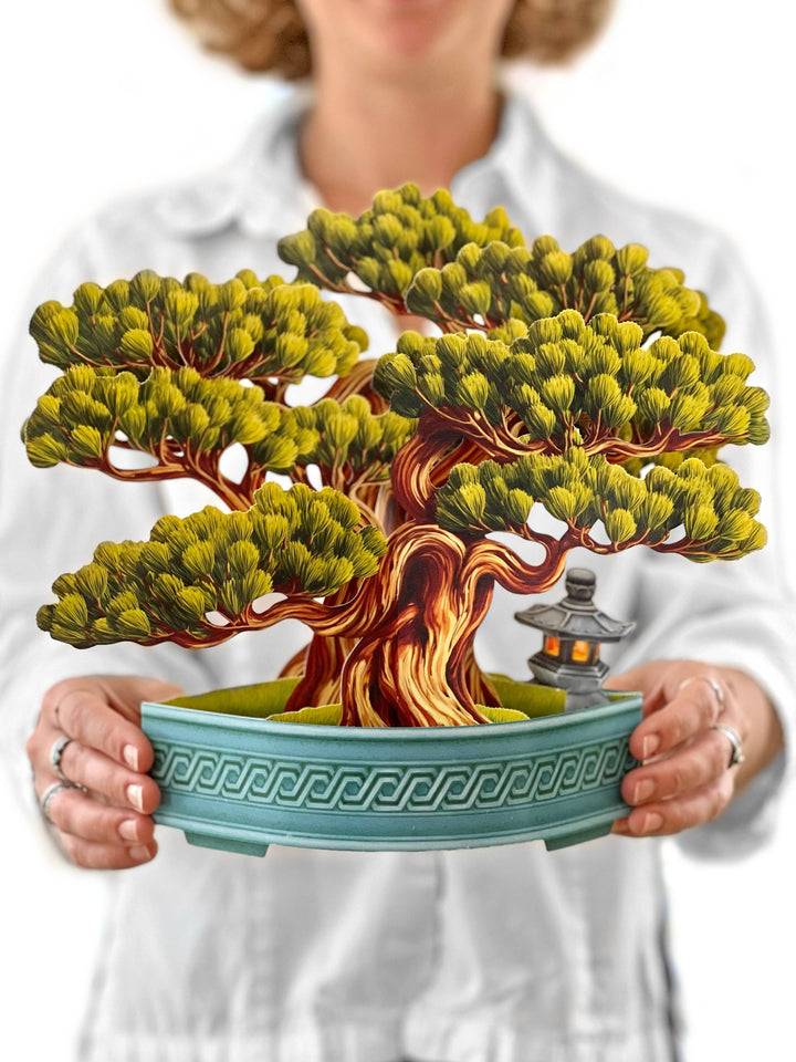 Wisdom Bonsai (8 Pop-up Greeting Cards)