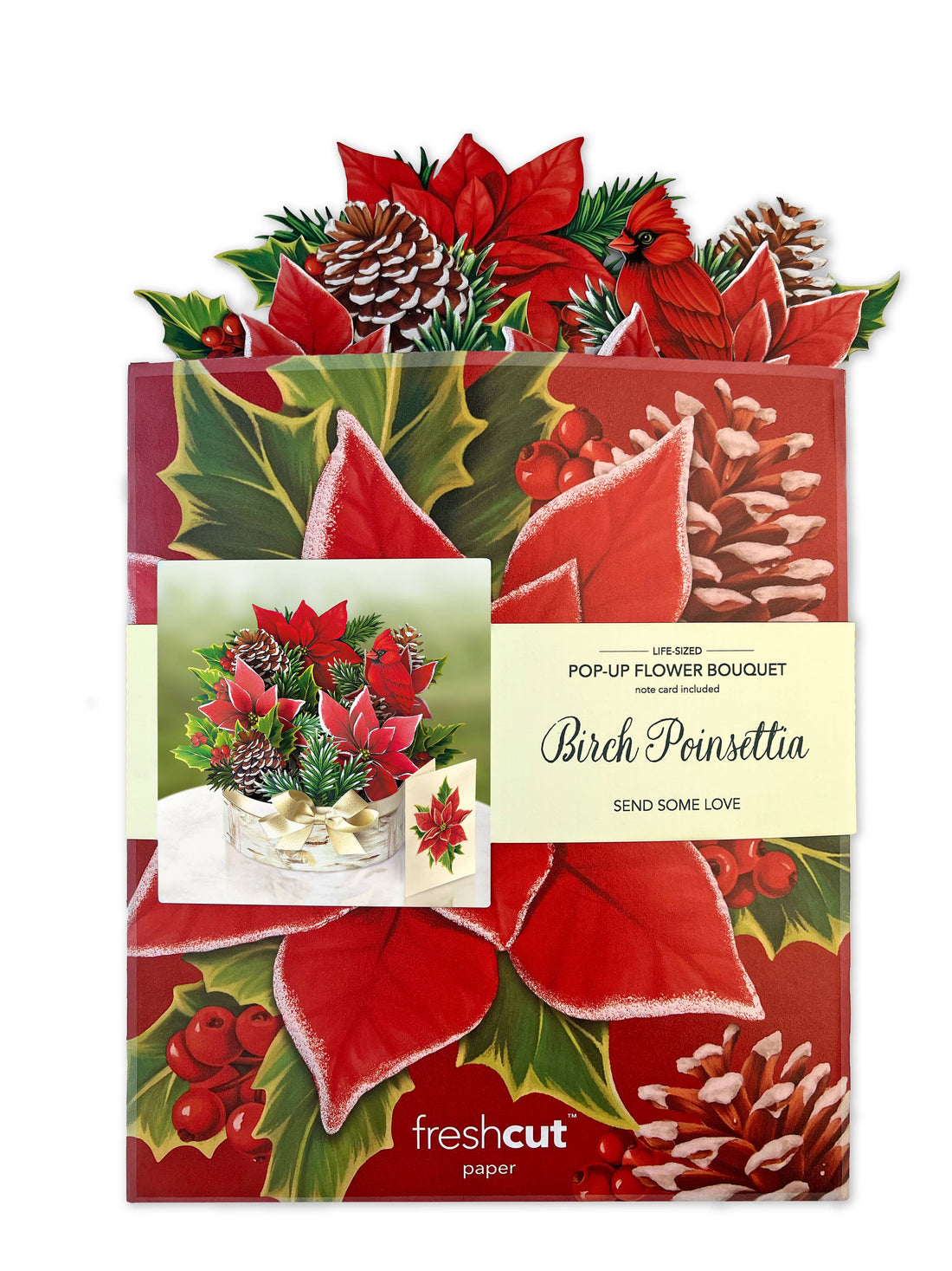 Birch Poinsettia (8 Pop-up Greeting Cards)
