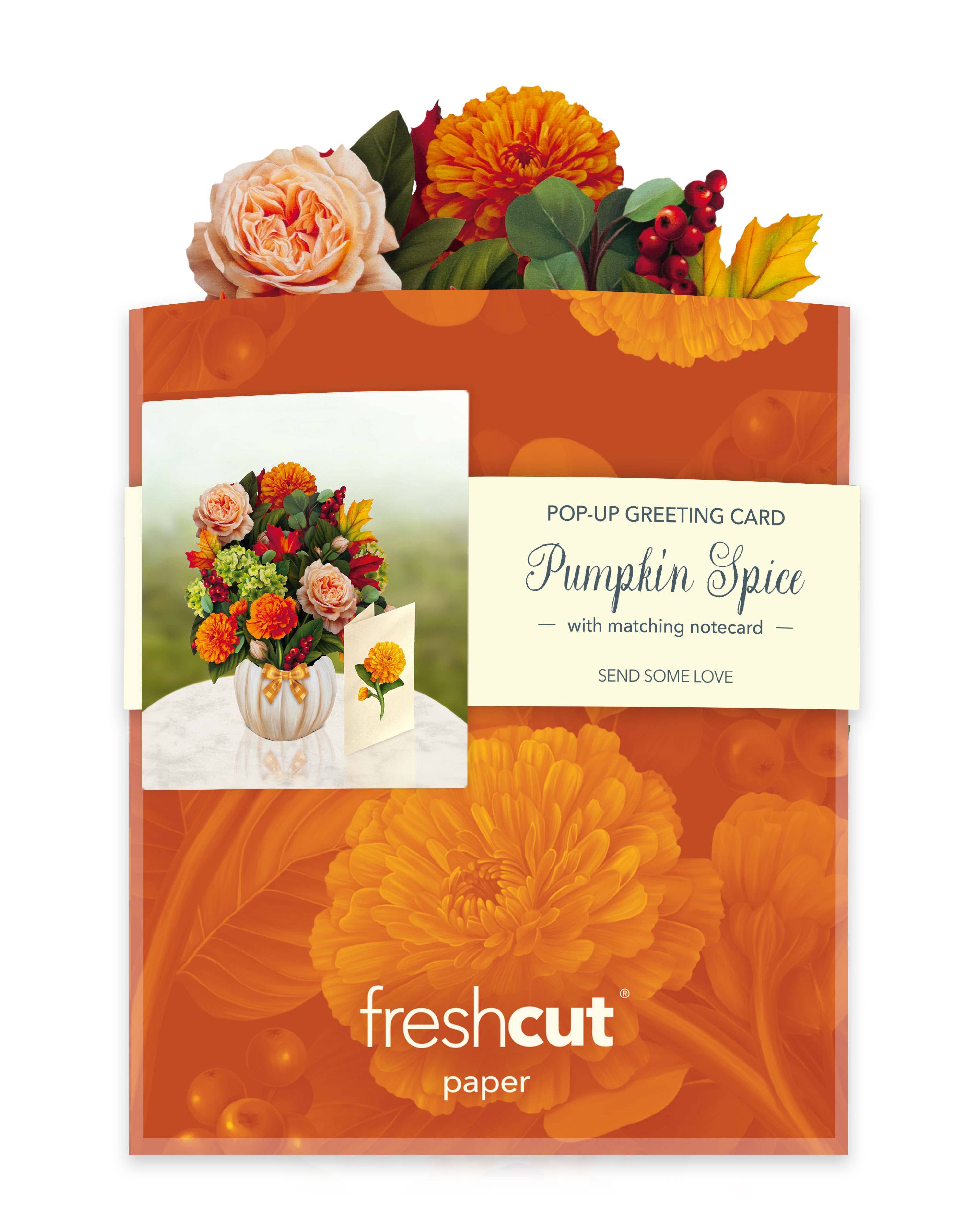 Mini Pumpkin Spice (10 Pop-up Greeting Cards)