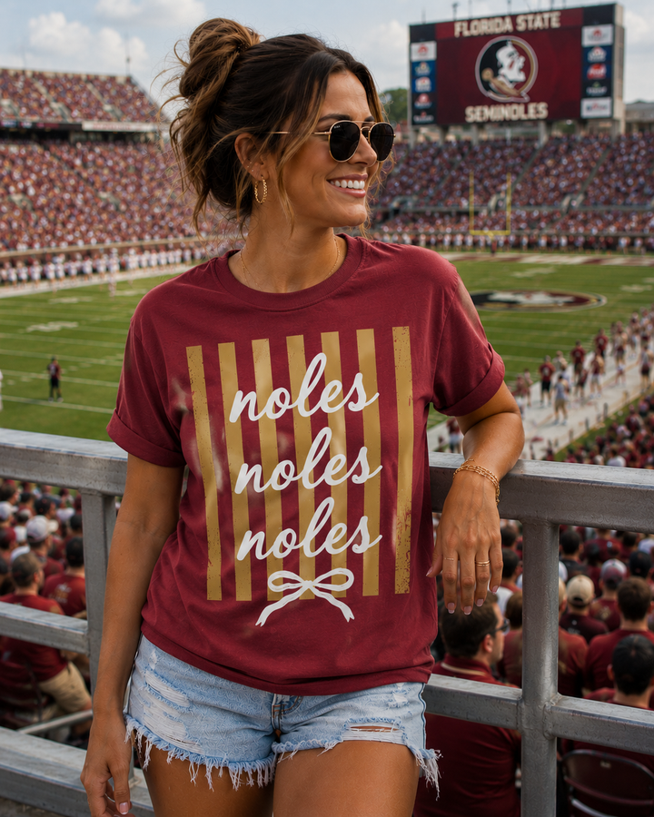 Noles Stripe Graphic Tee