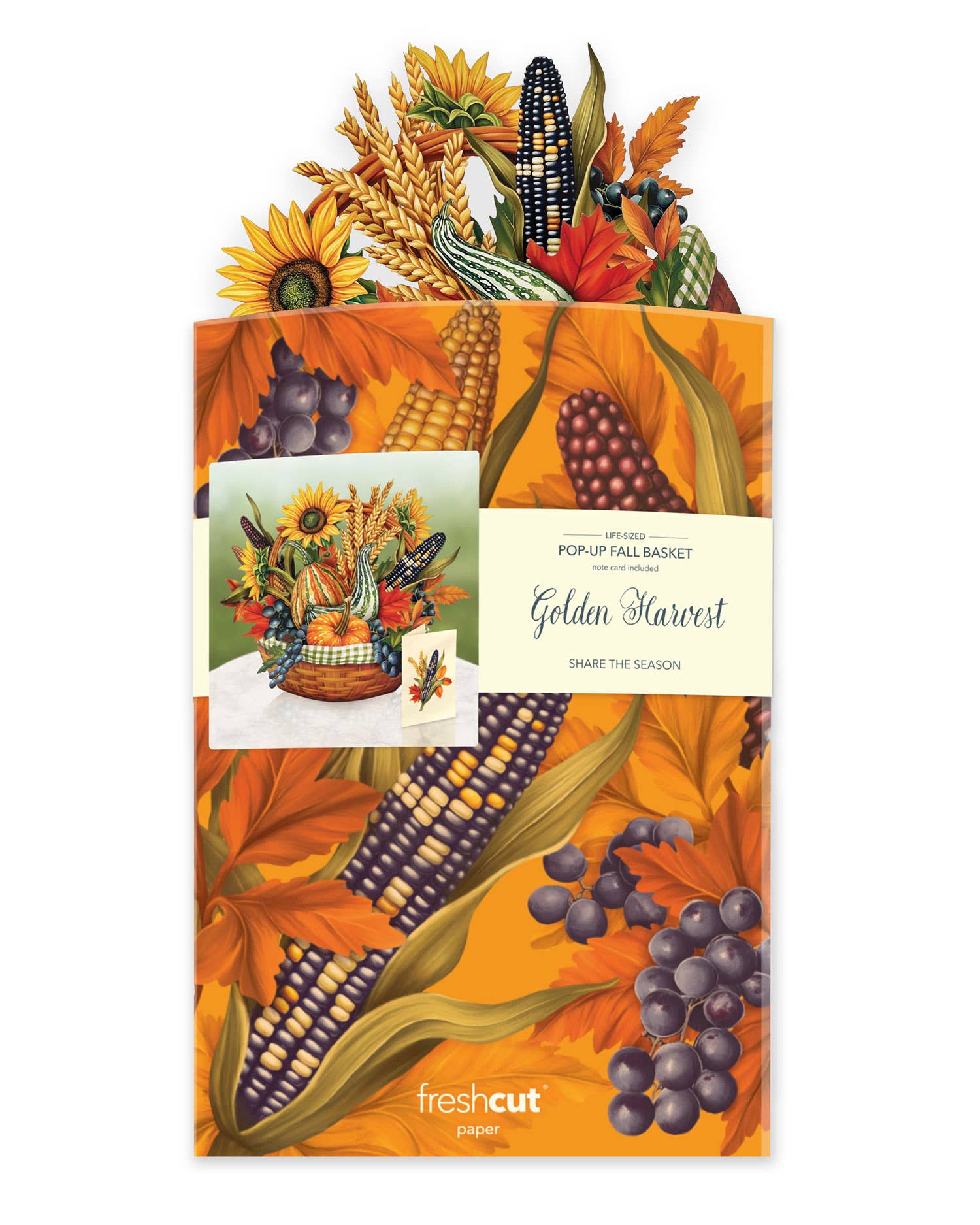 Golden Harvest (6 Pop-Up Greeting Cards)