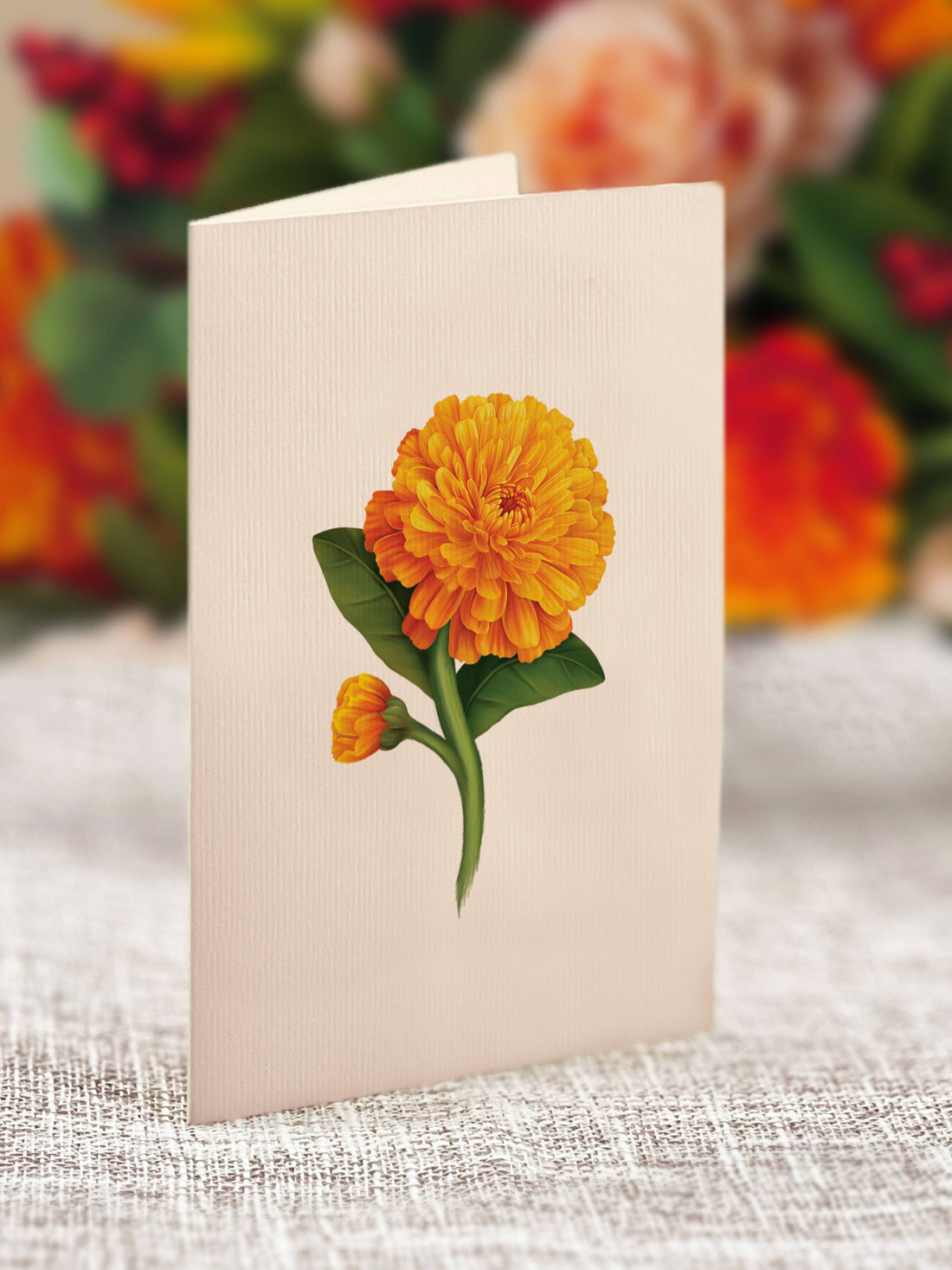 Mini Pumpkin Spice (10 Pop-up Greeting Cards)
