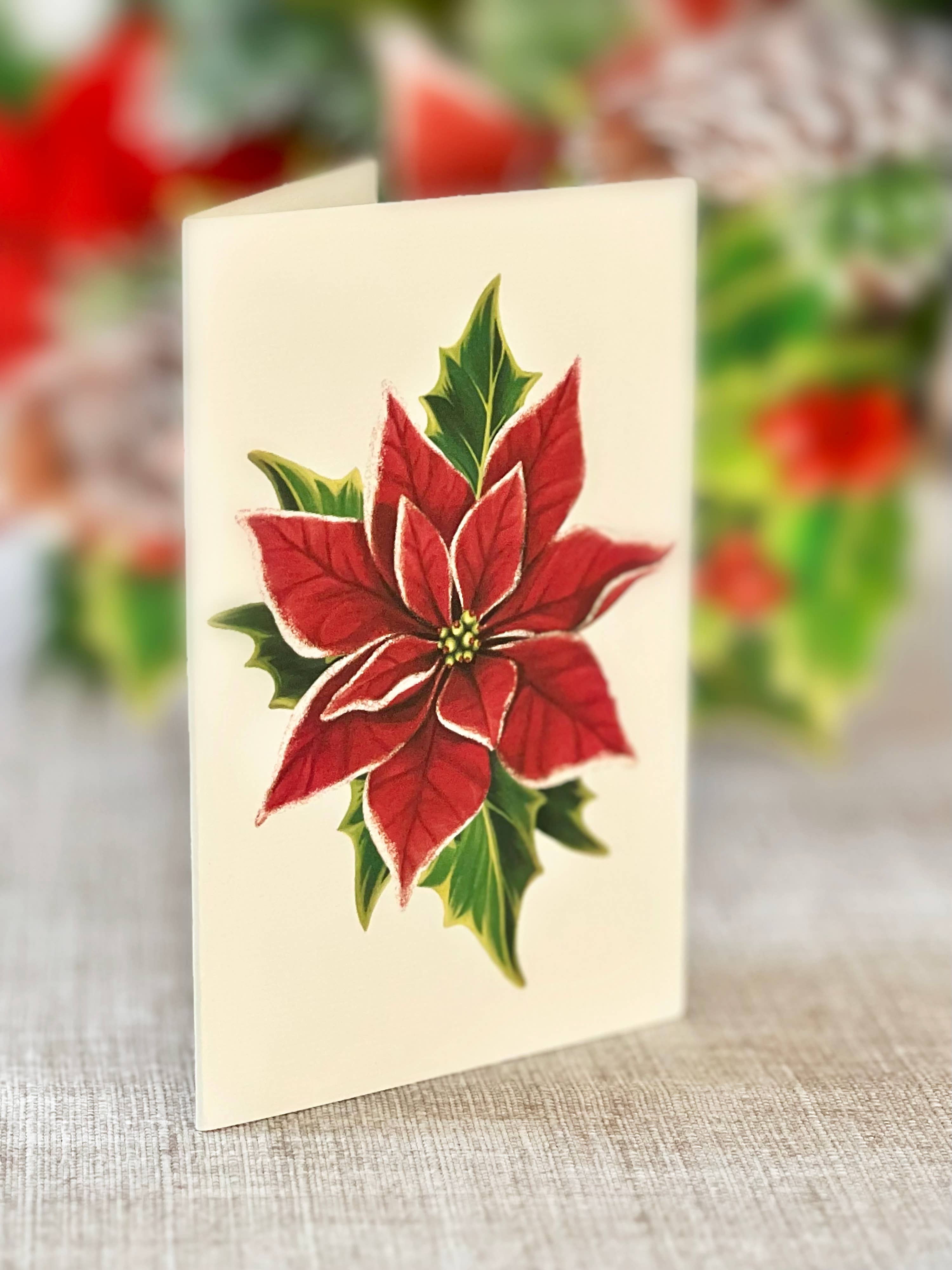 Birch Poinsettia (8 Pop-up Greeting Cards)