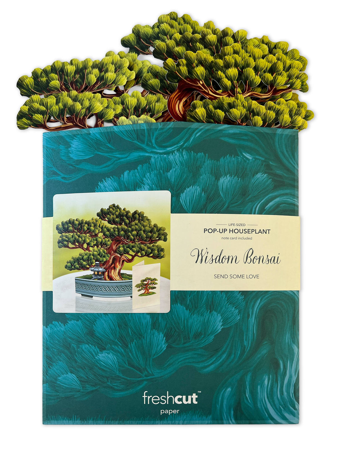 Wisdom Bonsai (8 Pop-up Greeting Cards)