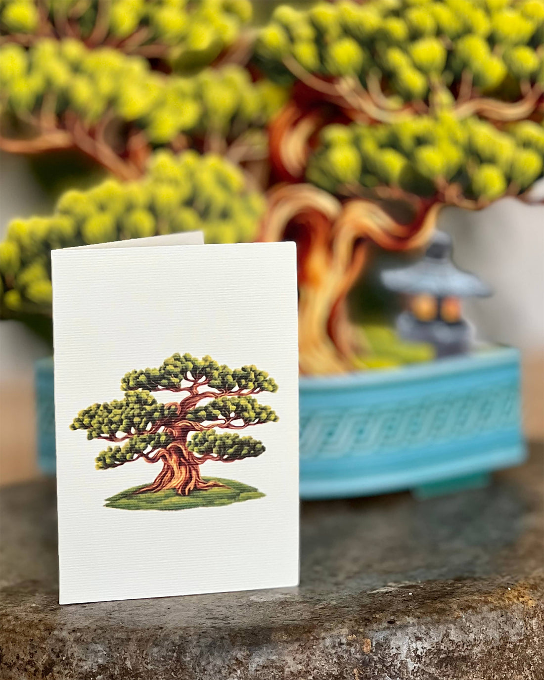 Wisdom Bonsai (8 Pop-up Greeting Cards)
