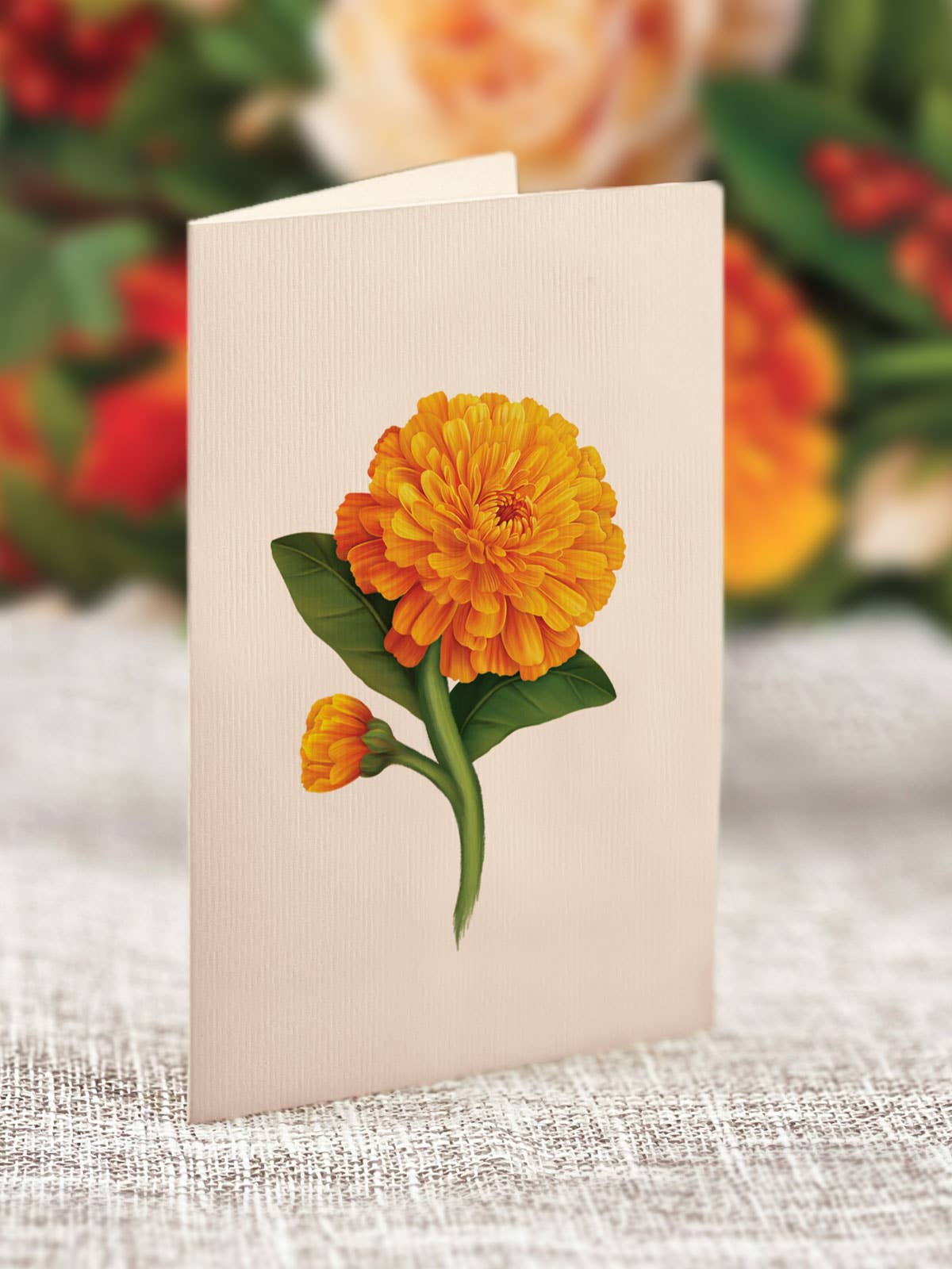 Pumpkin Spice  (8 Pop-up Greeting Cards)