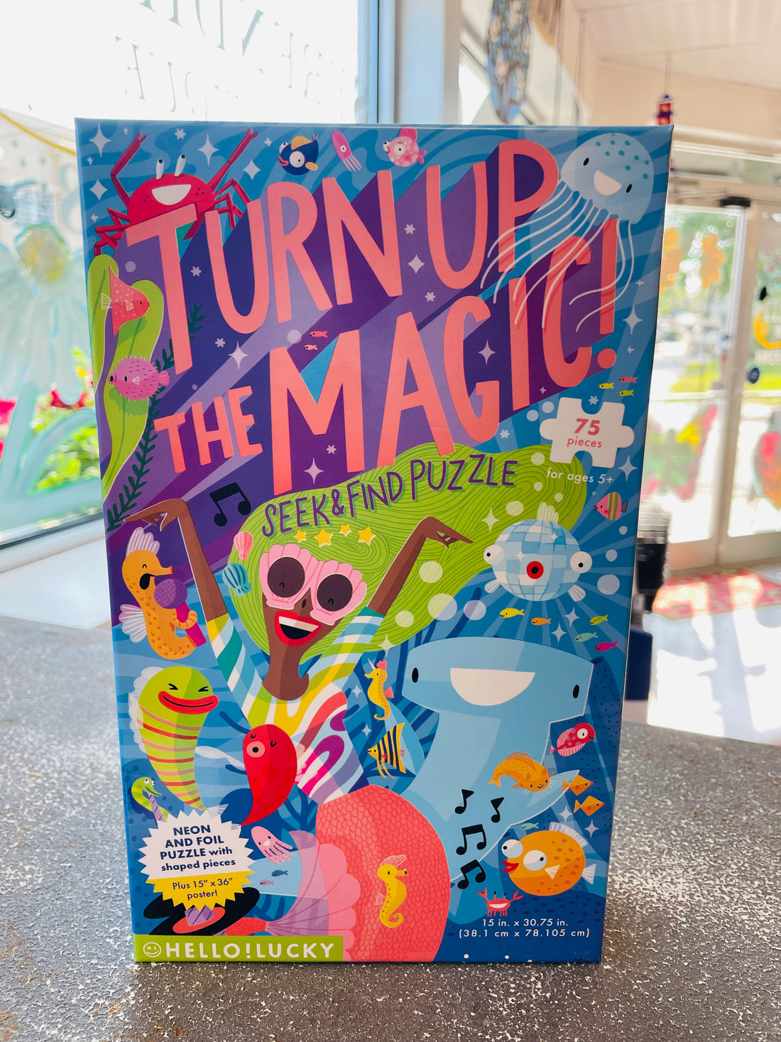 Turn up the Magic! Seek & Find Puzzle