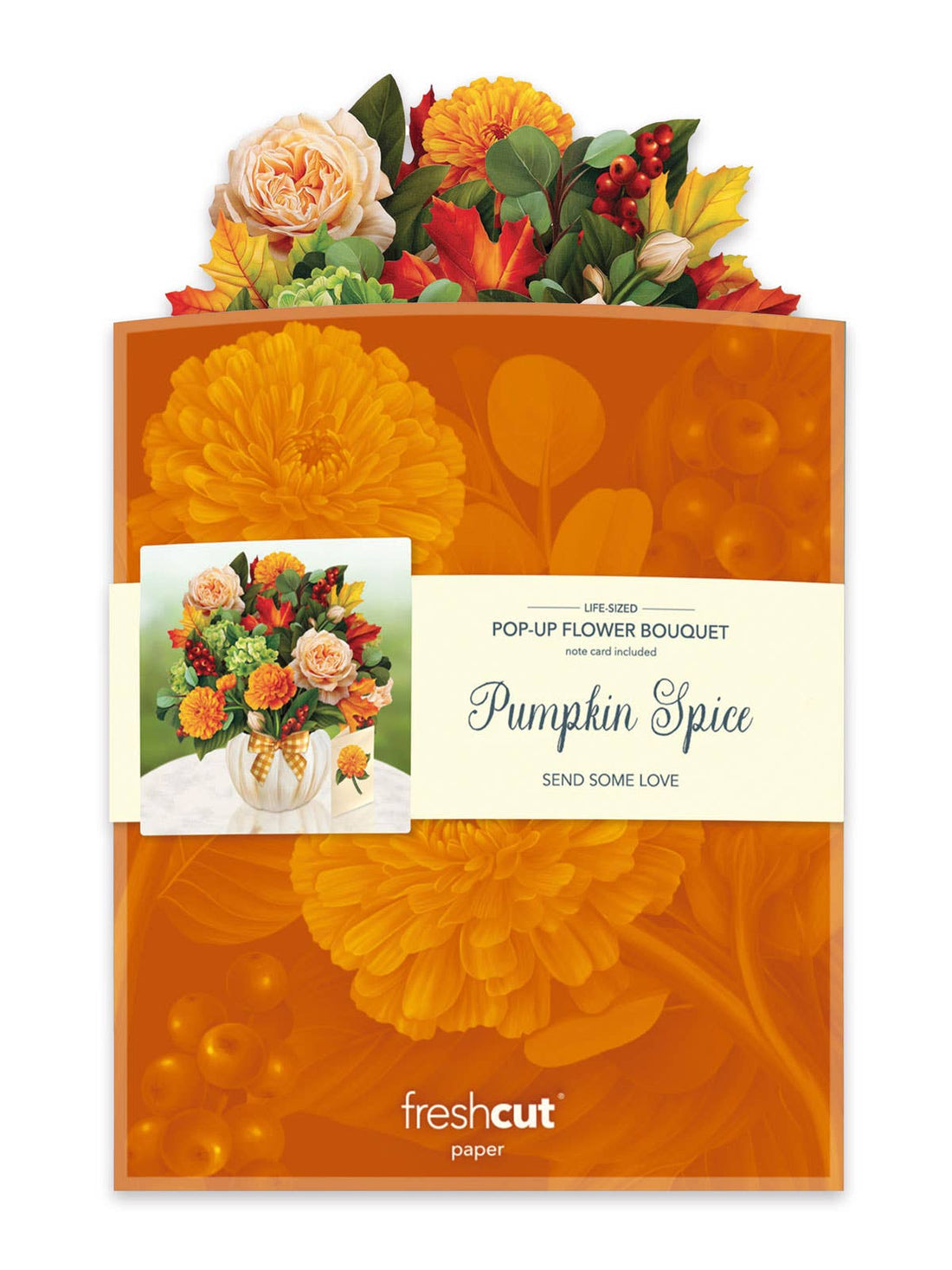 Pumpkin Spice  (8 Pop-up Greeting Cards)