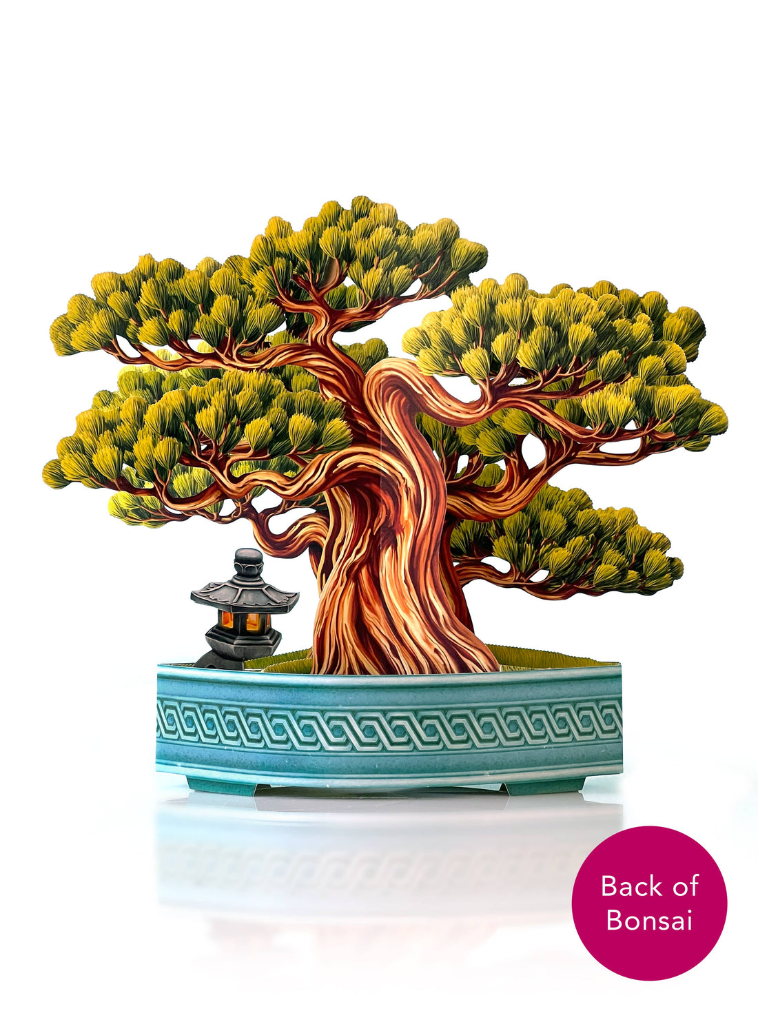 Wisdom Bonsai (8 Pop-up Greeting Cards)