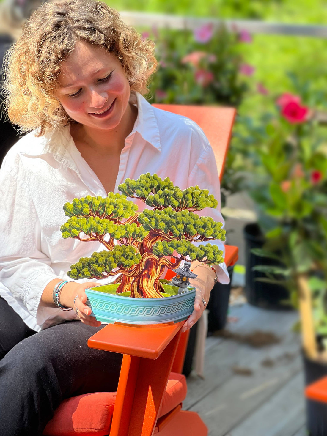 Wisdom Bonsai (8 Pop-up Greeting Cards)
