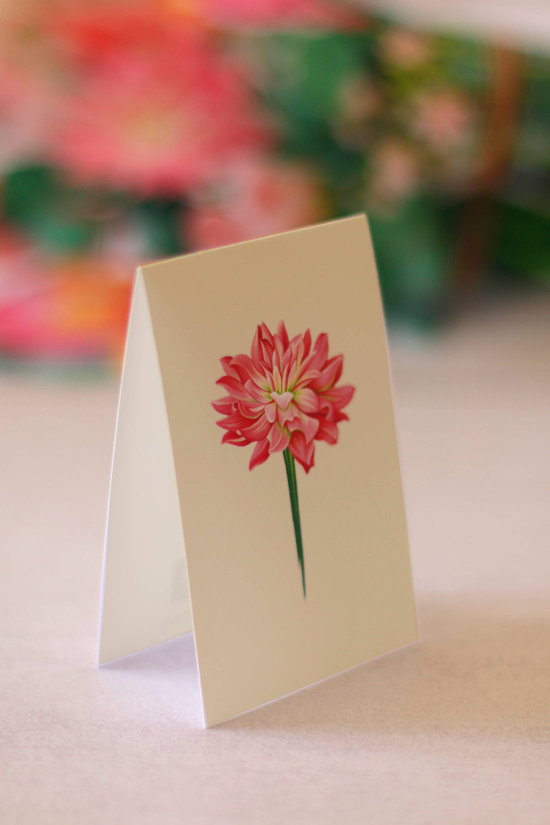 Dear Dahlia (8 Pop-up Greeting Cards)