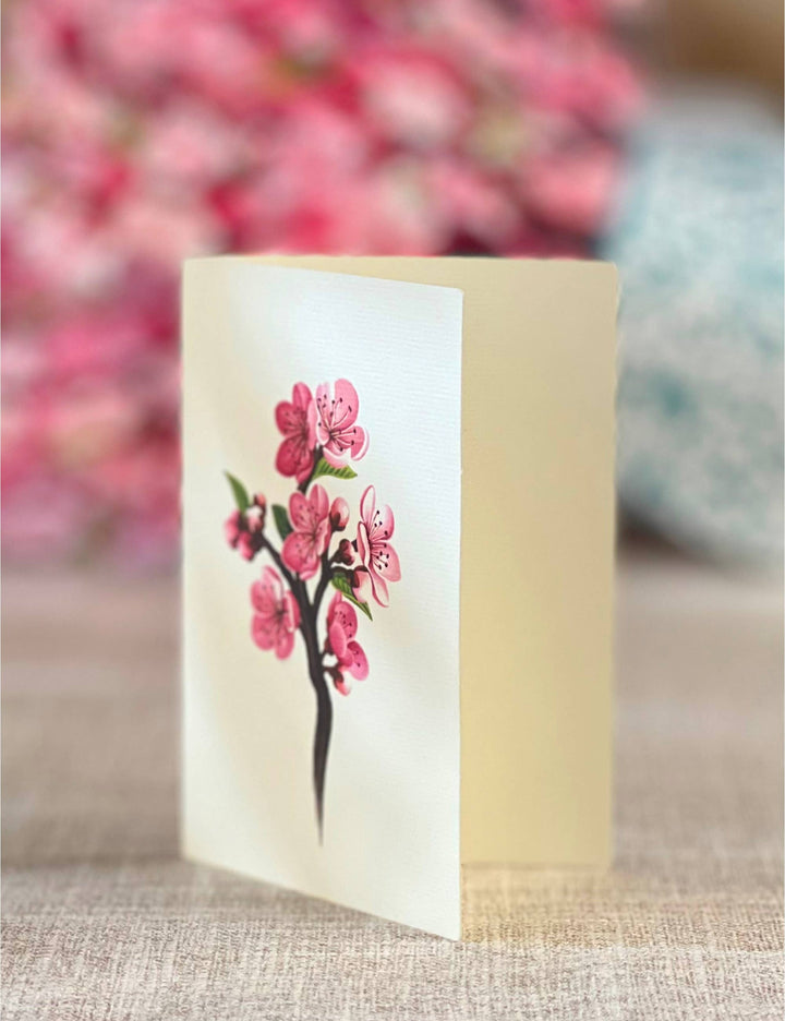 Cherry Blossom (8 Pop-up Greeting Cards)