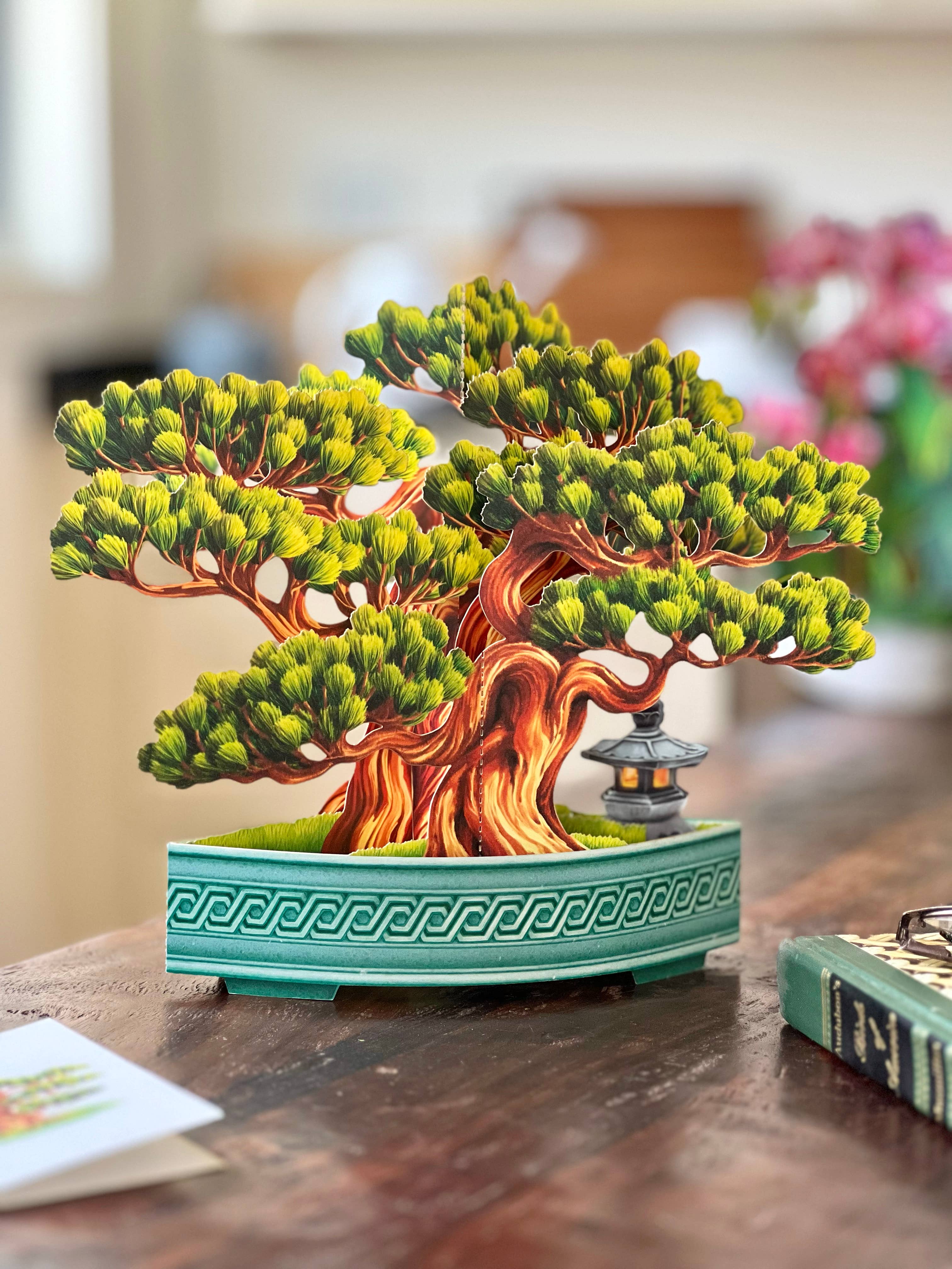 Wisdom Bonsai (8 Pop-up Greeting Cards)