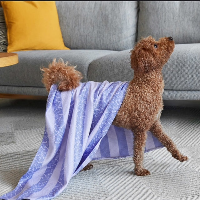 Dog & Bay Pale Blue & Off White Dog Towel