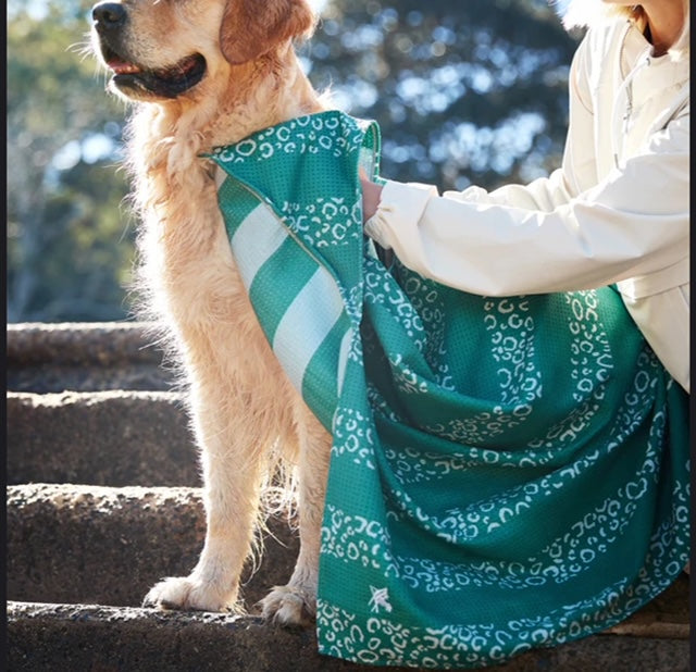 Dog & Bay Green Dog Towel